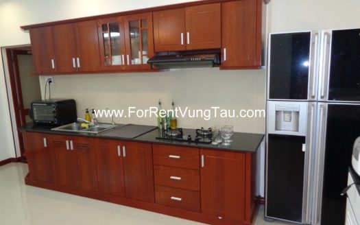 MODERN APARTMENT FOR RENT IN VUNG TAU B174