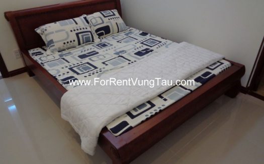 MODERN APARTMENT FOR RENT IN VUNG TAU B174