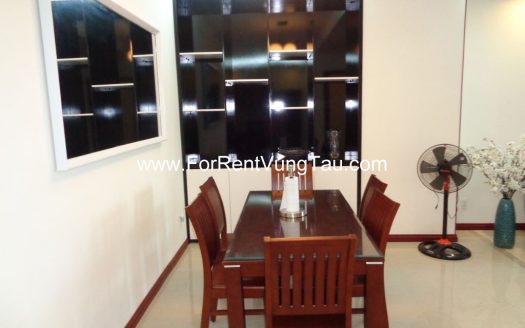 MODERN APARTMENT FOR RENT IN VUNG TAU B174