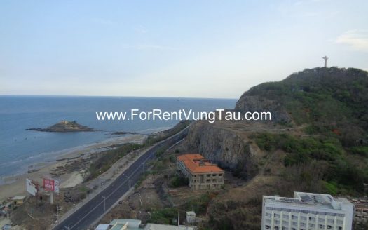 MODERN APARTMENT FOR RENT IN VUNG TAU B174